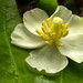 June May Photo 23