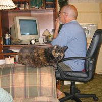 Dennis Rhoads Photo 11