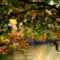 Janice Dieckmann Photo 2