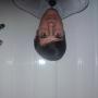 Joe Nash Photo 6