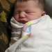Deborah Wheaton Photo 8