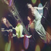 Jamie Pallas Photo 11
