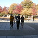 Susan Waddell Photo 16