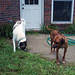 Susan Redman Photo 25
