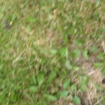 Cynthia Oliver Photo 24