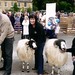 R Knowles Photo 6