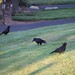 Scott Crow Photo 20