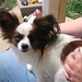 Nancy Doyle Photo 11