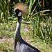 Gerald Gray Photo 17