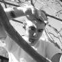 Andrew Neely Photo 17