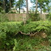 James Bemis Photo 14
