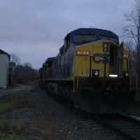 Brandon Musgrave Photo 16