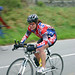 Tracy Harrison Photo 33