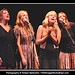 Robert Chapin Photo 40