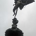 Angel Gilbert Photo 18