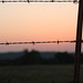 Rhonda Qualls Photo 7