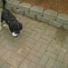 Julie O'Rourke Photo 8