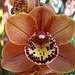 Jennifer Rivas Photo 15