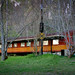 Rodney Camp Photo 11