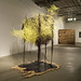 David Knudsen Photo 21
