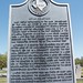 Willie Polk Photo 30
