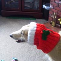 Denise Murphy Photo 39