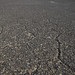 James Weddell Photo 3