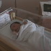 Everett Alexander Photo 15