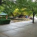 Gary Pace Photo 25