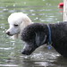 Connie Pond Photo 4