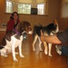 Leah Schwartz Photo 19