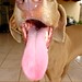 Max Grande Photo 16