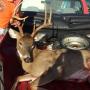 Danny Grubb Photo 21