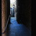 James Ruelle Photo 3