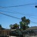 Raymond Elliot Photo 6