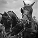 Laura Wester Photo 17