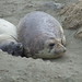 Jessica Seals Photo 26