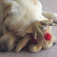 Judith Potts Photo 10