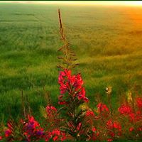 Richard Lombard Photo 16