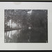 Michele Conklin Photo 14