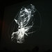 Robert Ott Photo 28