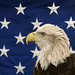 Jonathan Falconer Photo 8