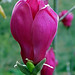John Dreyer Photo 26