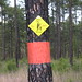 Mark Polk Photo 20