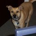 Brandy Slack Photo 7