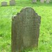 Elizabeth Hammonds Photo 17