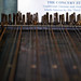 Victoria Harp Photo 12