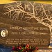 Christine Dunn Photo 47