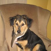 Susan Mclendon Photo 20