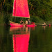 Dan Allen Photo 43